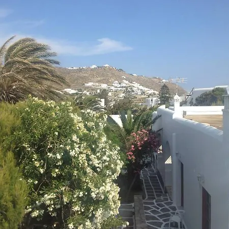 Garden *